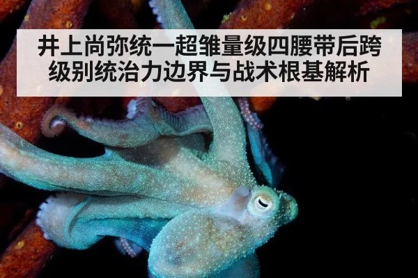 井上尚弥统一超雏量级四腰带后跨级别统治力边界与战术根基解析